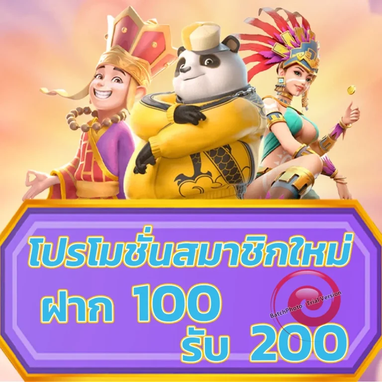 MG248 เครดิตฟรี